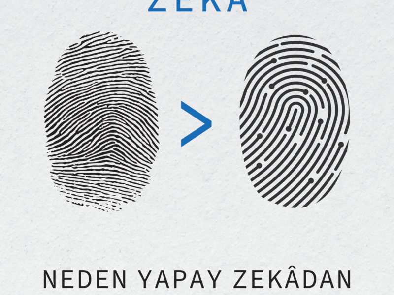 Matematiksel Zekâ
